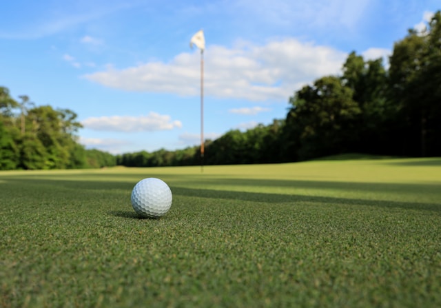 Factors Affecting Golf Tournament Results